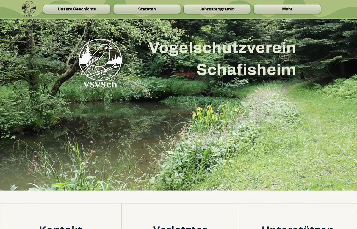 Startseite von vsvsch.ch – von Pfyl's umgesetzt